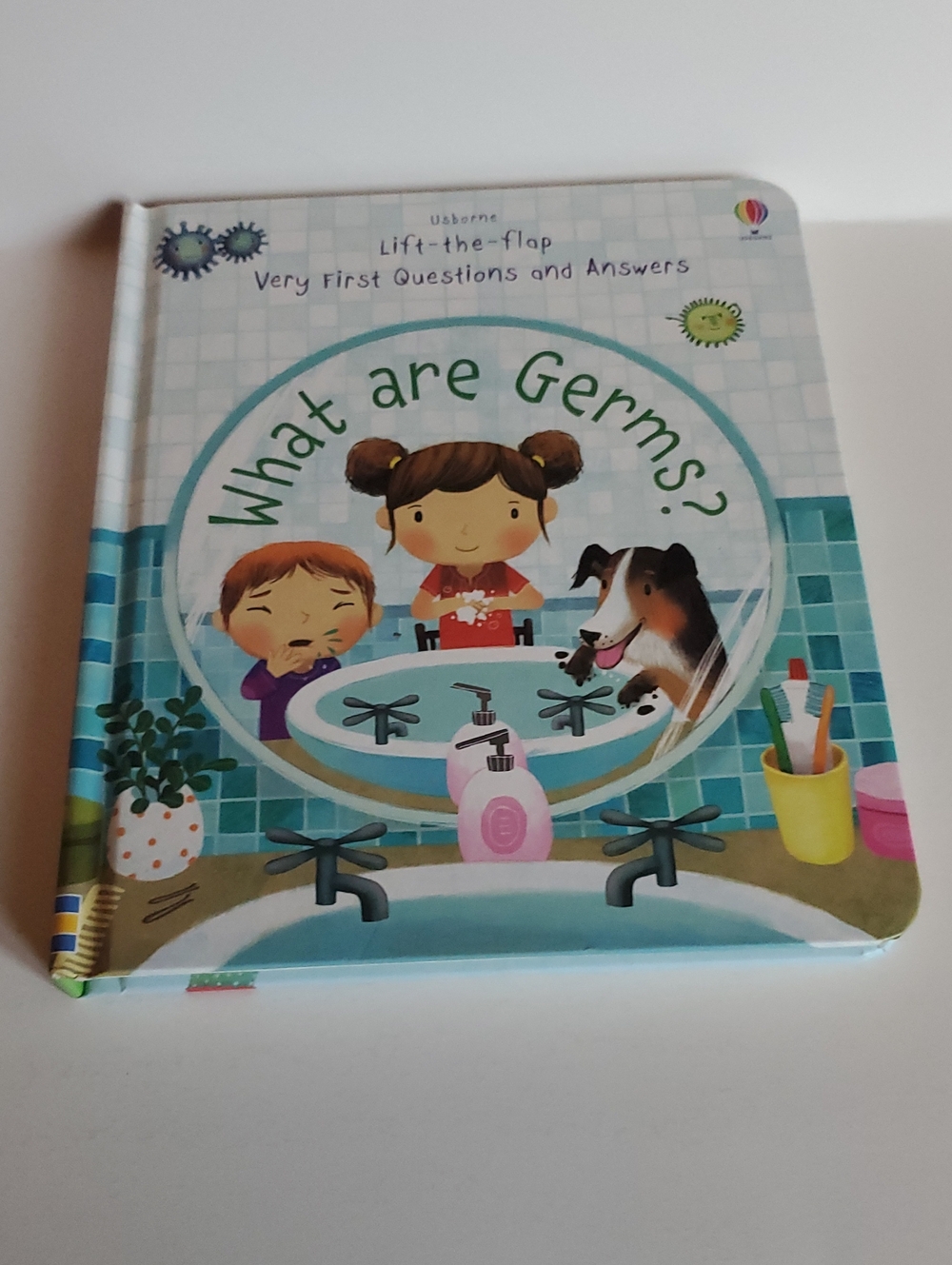 Usborne Lift The Flap Very First Questions And Asnwers What Are Germs